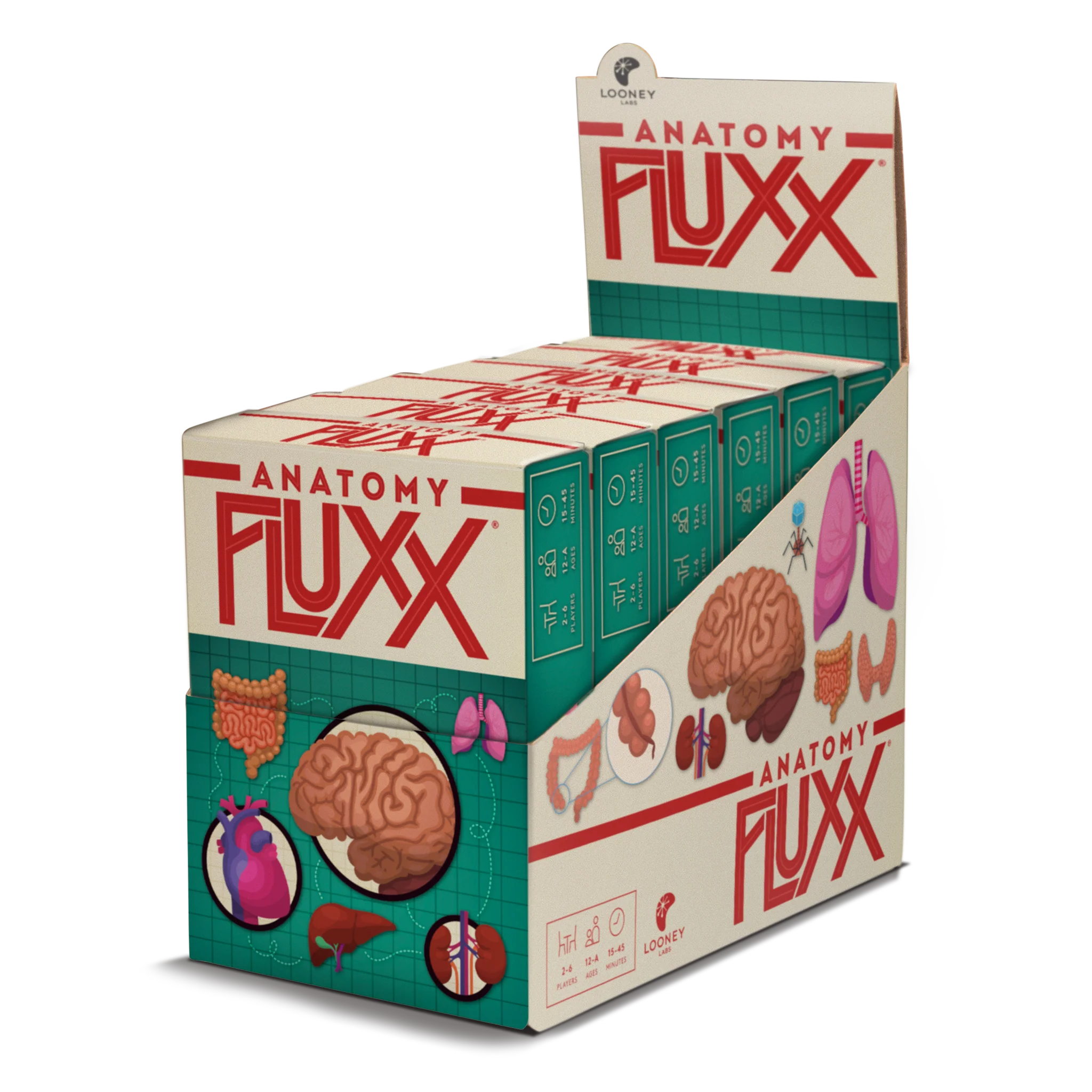 Anatomy Fluxx Card Game - Image 4