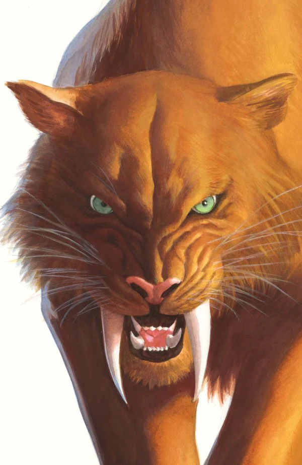 BLACK CAT #2 (2025) ALEX ROSS TIMELESS VIRGIN VARIANT