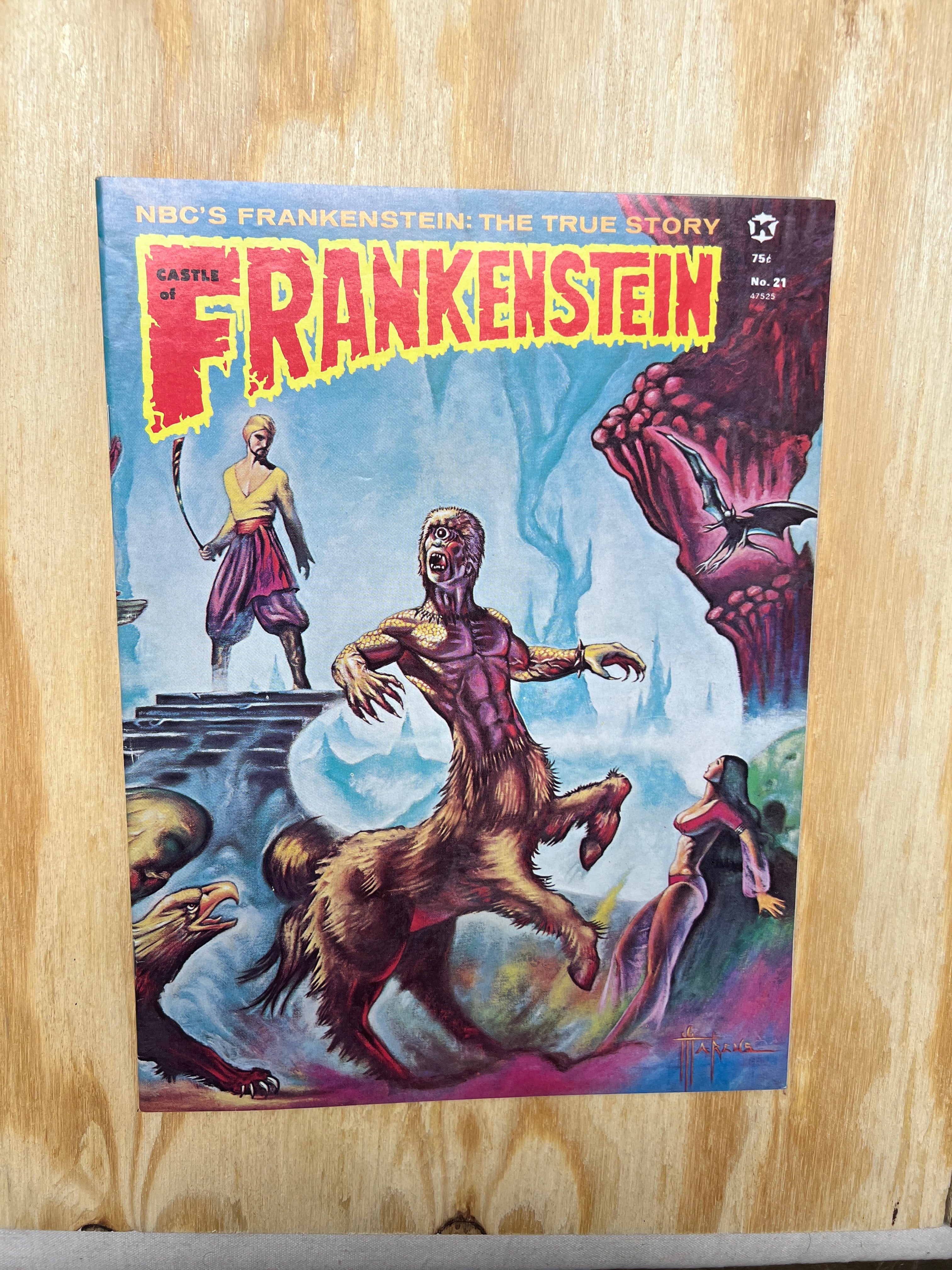 Castle of Frankenstein #21 (1962-1975 Gothic Castle Publishing)