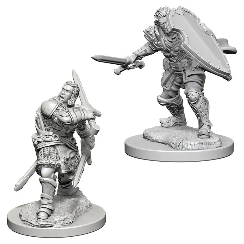 DnD Nolzur's Marvelous Unpainted Minis: Male Human Paladin