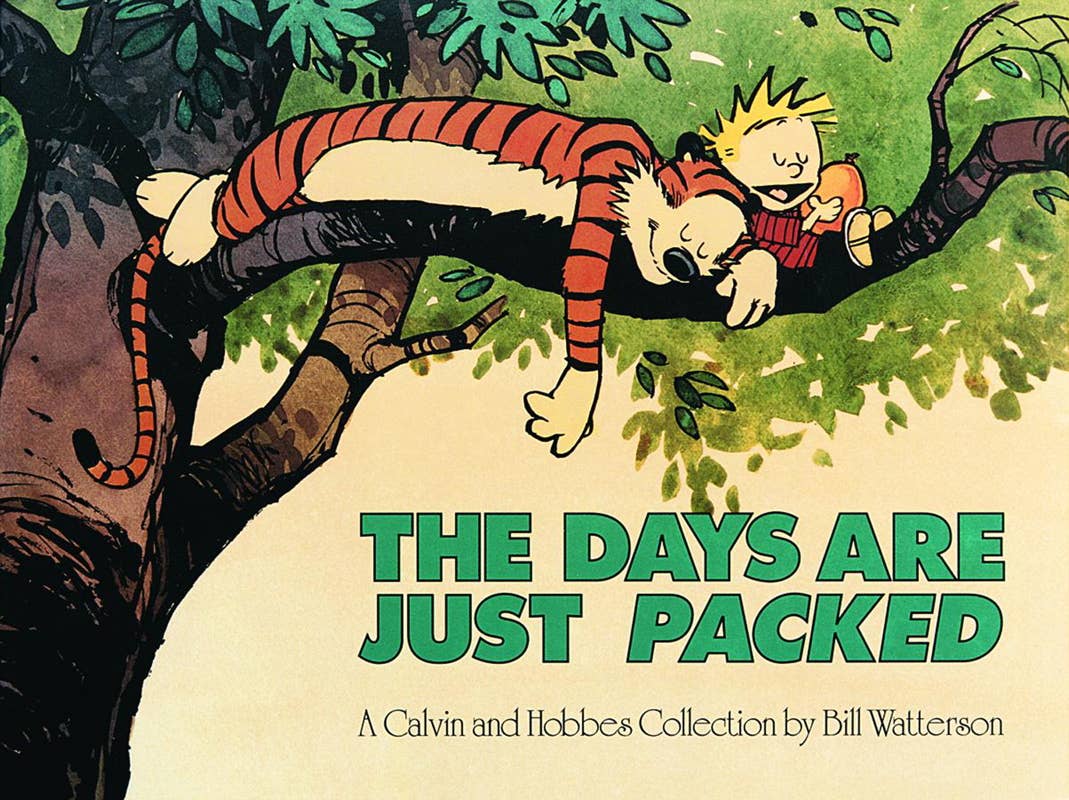 Calvin and Hobbes: Days Are Just Packed by Bill Watterson TP