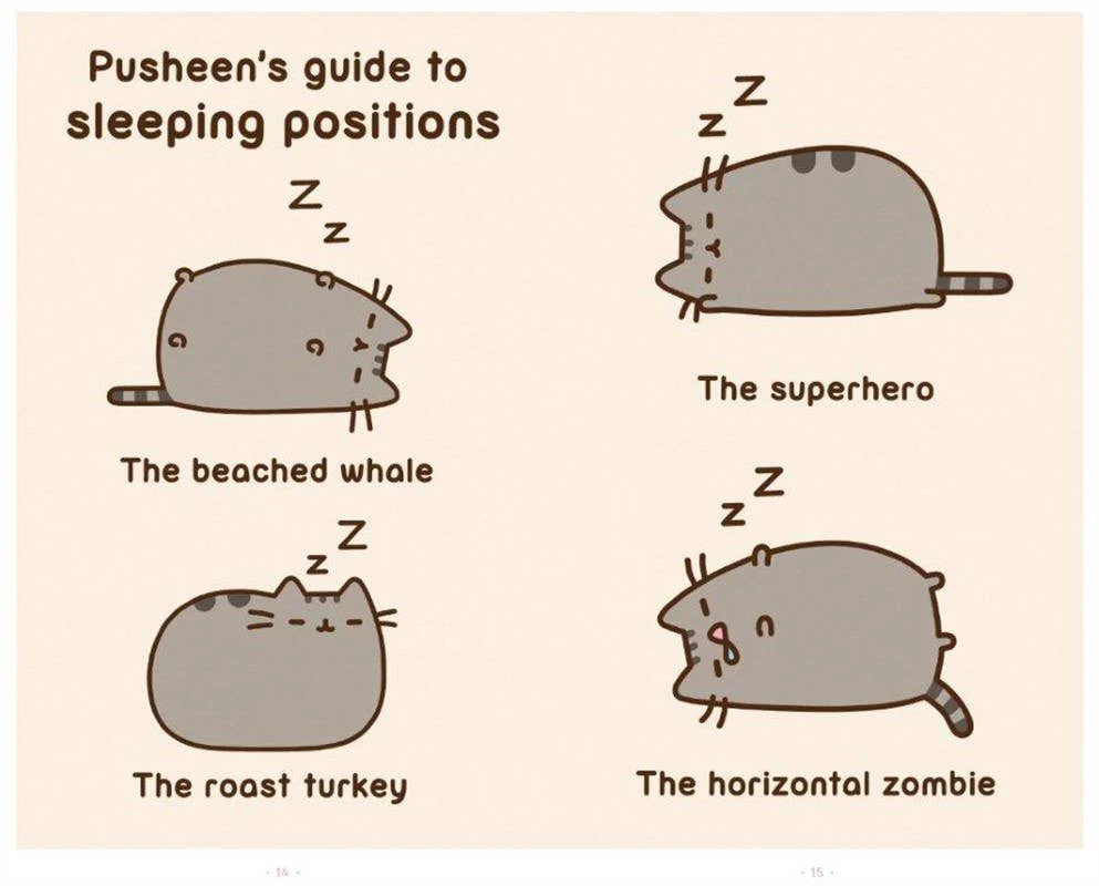 I Am Pusheen the Cat by Claire Belton TP - Image 4
