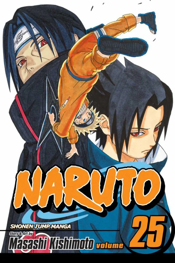 Naruto, Vol. 25 by Masashi  Kishimoto